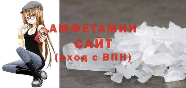твердый Протвино